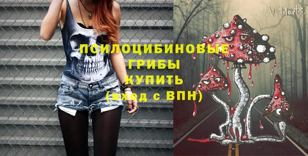 гашик Нефтегорск