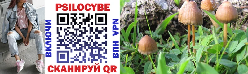 Псилоцибиновые грибы Psilocybine cubensis  купить наркотики сайты  Рославль 