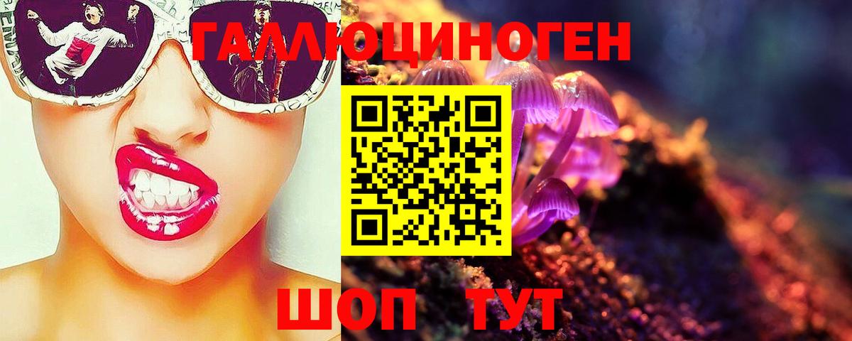 Псилоцибиновые грибы мицелий  Вход с VPN  Галлюциногенные грибы Psilocybe  Рославль 